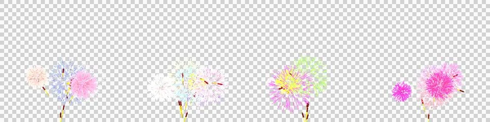 Set of stylized 3D rendered fireworks explosions with bright particle effec.. Stock Illustration