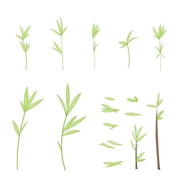 Set of stylized branches with leaves. isolated on white background in vector Stock Illustration