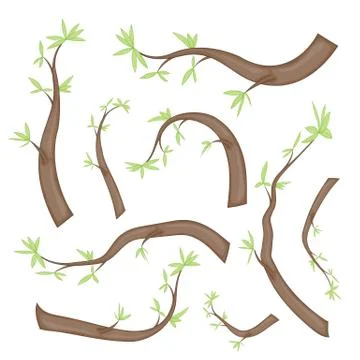 Set of stylized branches with leaves. isolated on white background in vector Stock-Illustration