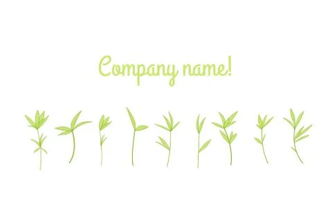 Set of stylized branches with leaves. isolated on white background in vector Stock-Illustration