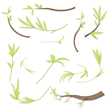 Set of stylized branches with leaves. isolated on white background in vector Stock Illustration
