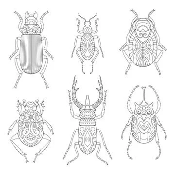 Set of stylized celestial beetle. Illustrazione stock
