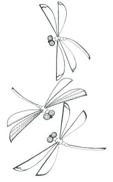 Set of stylized geometric black and white silhouettes of dragonflies Stock Illustration