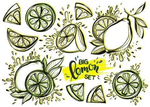 Set of stylized hand drawn ink lemons Stock Illustration