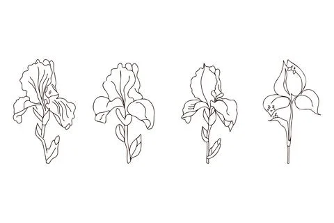 A set of stylized iris flower, origami, vector illustration. Stock Illustration