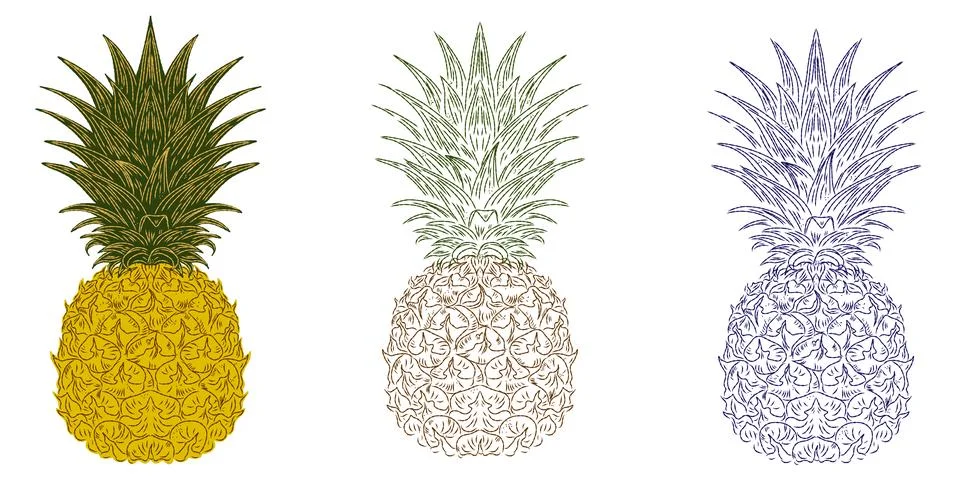 A set of stylized pineapple images, executed in a woodcut style. These decora Stock Illustration