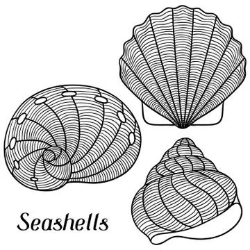 Set of stylized seashells. Objects for decoration, design on advertising 스톡 일러스트