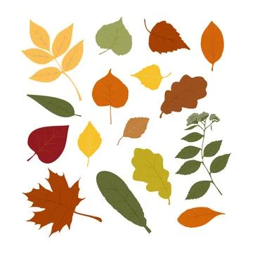 A set of stylized tree leaves. Collection of falling autumn leaves. Illustrazione stock