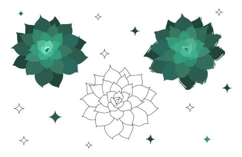Set of succulents isolated on white background. Vector illustration. Stock Illustration
