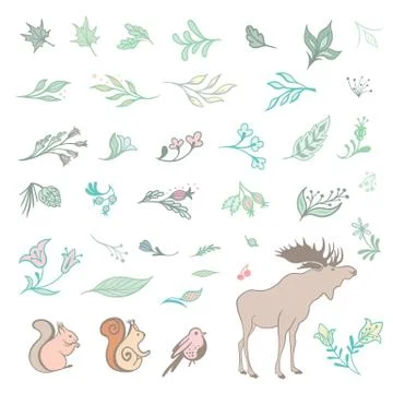 Set of Summer Forest Design Elements Illustrazione stock