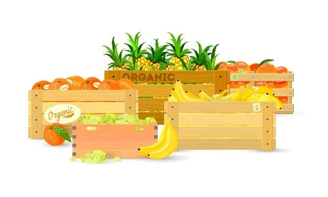 Set of summer fruits in crate Stock Illustration