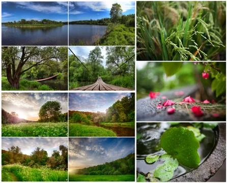 Set of summer landscapes Stock Photos