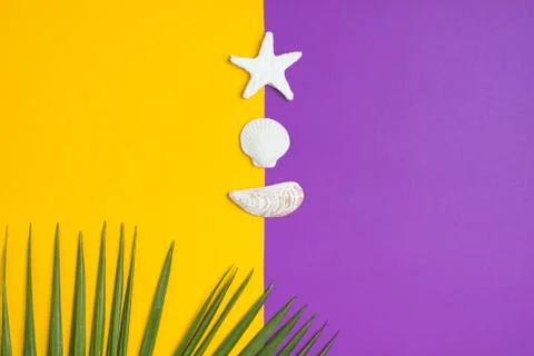 Set of summer object sunglasses sky reflect, star fish,shell and palm leaf on Stock Photos