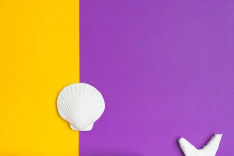 Set of summer object sunglasses sky reflect, star fish,shell and palm leaf on Foto stock