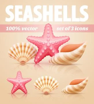 Set of summer sea shells and starfish icons Stock Illustration