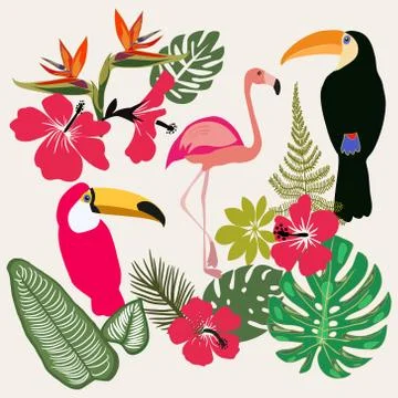 Set of Summer tropical graphic elements. Stock Illustration