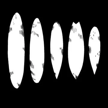 Set of surfboard silhouettes in scale Stock Illustration
