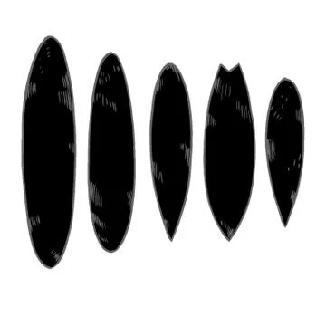 Set of surfboard silhouettes in scale Stock Illustration