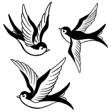 Set of the swallow icons. Design elements for poster, t-shirt. V Illustrazione stock