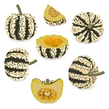 Set of Sweet Dumpling squash. Stock Illustration