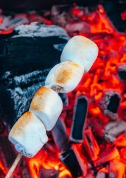 Set of sweet marshmallows roasting over red fire flames. Marshmallow on skewers Stock Photos
