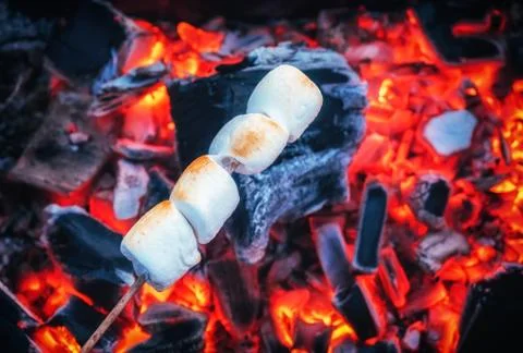 Set of sweet marshmallows roasting over red fire flames. Marshmallow on skewers Stock Photos