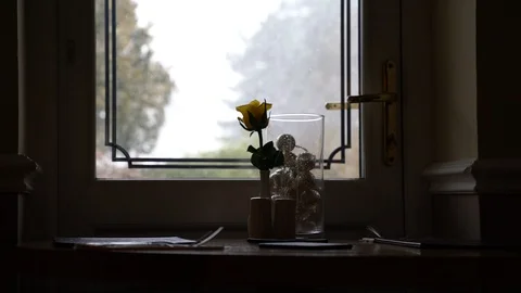 Set table with flower whilst snow falls, 4k, UHD 스톡 동영상 86470465