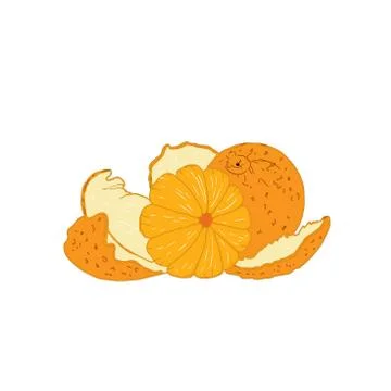 Set with tangerines isolated on a white background. Stock Illustration