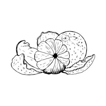 Set with tangerines isolated on a white background. Stock Illustration