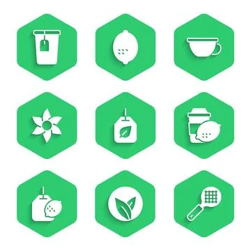 Set Tea bag with leaf, strainer handle, Cup of tea lemon, Flower, and icon Illustration