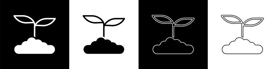 Set Tea leaf icon isolated on black and white background. Tea leaves.  Vector Illustrazione stock