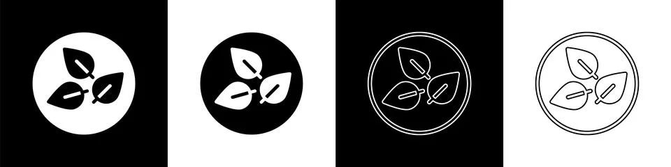 Set Tea leaf icon isolated on black and white background. Tea leaves.  Vector Stock Illustration