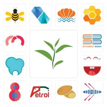 Set of tea leaf, rowing, potato, petrol, number 8, laugh, dental clinic, stud Free Stock Illustration