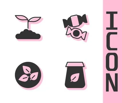 Set Tea packaging, leaf,  and Candy icon. Vector Stock Illustration