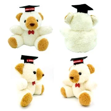 Set Teddy bear on white background Stock Photos