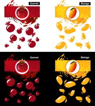 Set template icon of fruit, garnet and mango Stock Illustration
