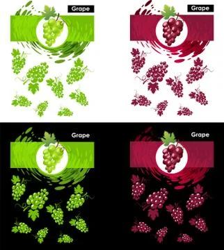 Set template icon of grapes fruit Stock Illustration