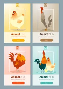 Set of templates with chicken for web design Stock Illustration