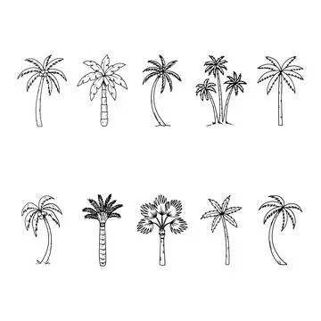 Set of ten different palm tree silhouettes and hand drawn isolated on a whi.. Stock Illustration