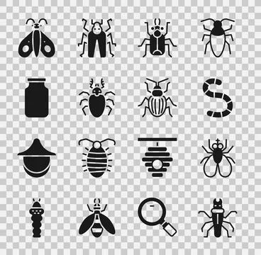 Set Termite, Insect fly, Worm, Beetle bug, deer, Glass jar, Butterfly and C.. Ilustración de archivo