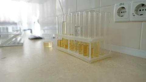 Set of test tubes close-up in laboratory in plastic box holder. Foto stock