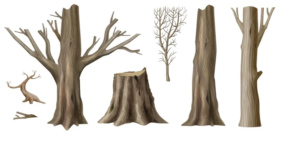 Set of textures of wooden log posts Illustrazione stock