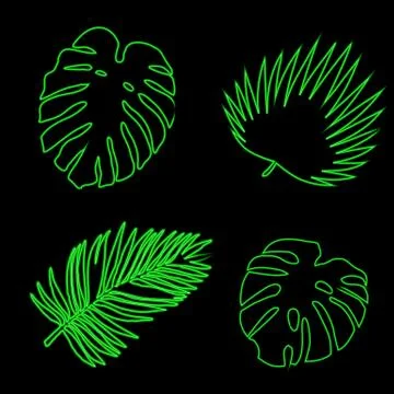Set of thick tropical leaves. Creative Vector Stock Illustration