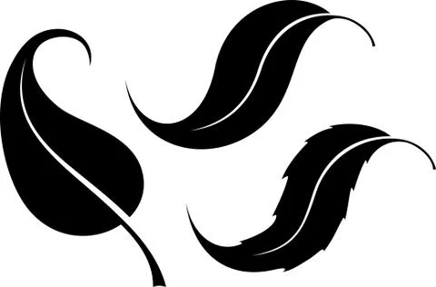 Set of three black leaves, vector silhouettes. Stock Illustration