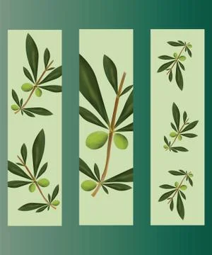 Set of three bookmarks with olive trees vector Stock Illustration
