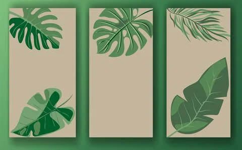 Set of three botanical-themed templates for social media posts, featuring green Stock Illustration