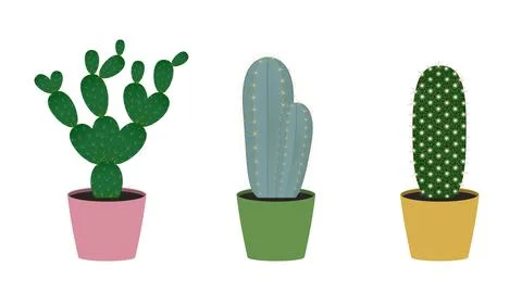 Set of three cacti Stock Illustration