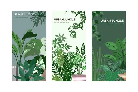 Set of three card templates with indoor plants Stock Illustration