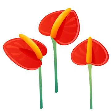 Set of three decorative flowers red anthurium floral element for garden or Stock Illustration