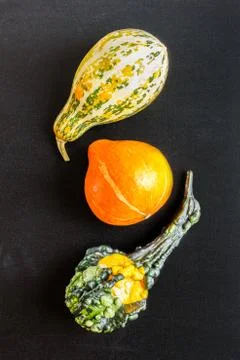Set of three decorative  pumpkins on black chalkboard background Stock Photos